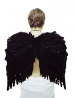 Крылья ангела черные